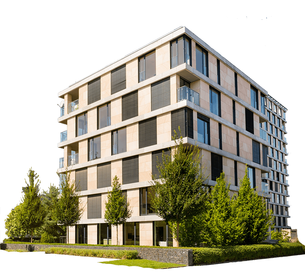 Zarządzanie – nowa odsłona